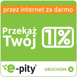 program do rozliczania pit 2018 Wypełnij PIT przez internet i przekaż 1% podatku